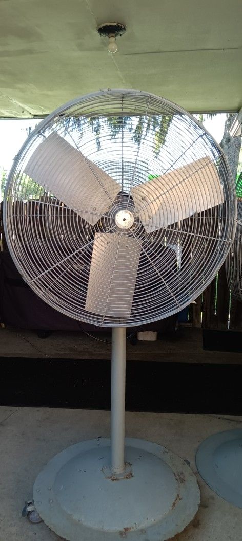 Pedestal Fan