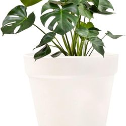 Planter Pot Indoor Outdoor Plant Pot | 6 inch Plastic Plant Pot for Small & Medium Size Plant - Pack of 2