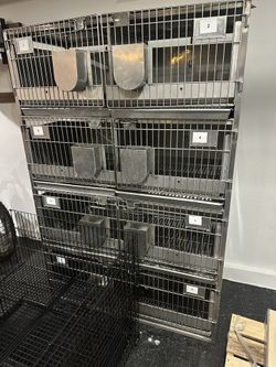 Heavy Duty Stainless Steel kennels 