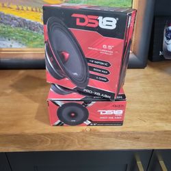 DS18 Speakers 
