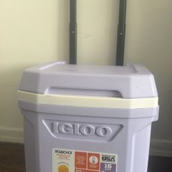 Igloo Cooler