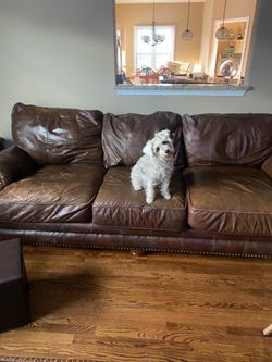 Brown leather couch