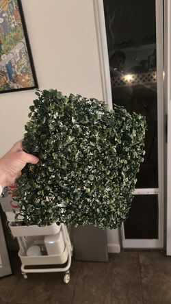 Plant Wall