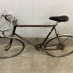 Schwinn Varsity 10speen Men’s Bike 1971 All Original