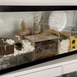 Hamster mansion Accessories, Reptile Aquarium