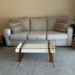 Sofa and Tea Table 