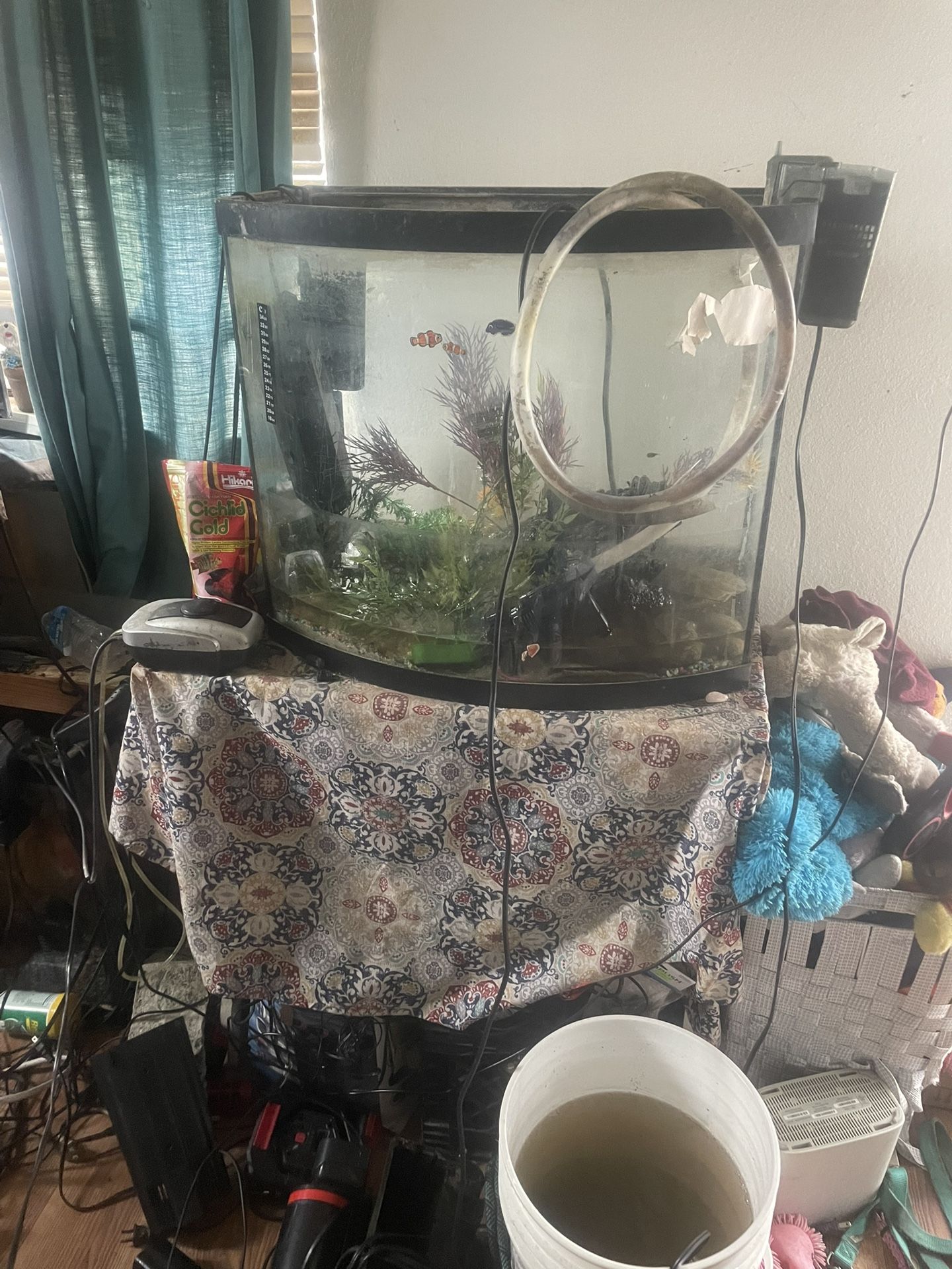 30 Gallon Tank Fully Equipped With Filter Decorations Air Bubbler