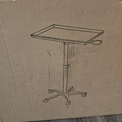 Hair Stylist Rolling Tray