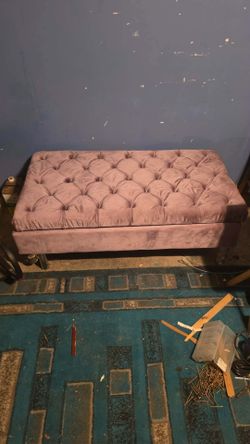 Mauve /  Pink Button-Tufted Velvet Storage Ottoman Bench 
Purchased at Ross