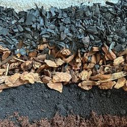 Tropical Aroid Potting Mix – Perfect for Monstera & Other Chunky-Mix Lovers