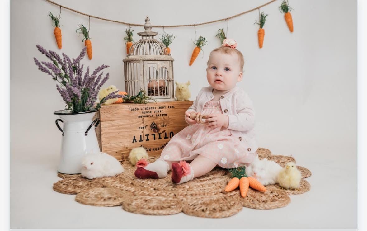 Easter Photo Props Decorations