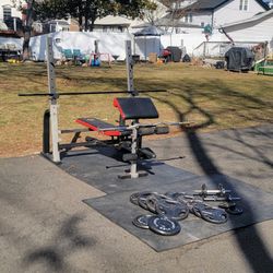 Golds Gym Bench Rack Set w/ 255 lbs barbell curl bar dumbells - Can deliver and install 