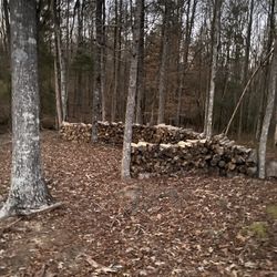 Fire Wood 