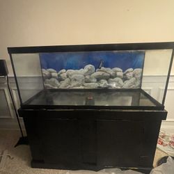 75 gallon tank Great Condition. Along With a Marine Land filter Newest Brand Fit For Tank. Filter Is Brand New Only Been Used For A Month Or 2 