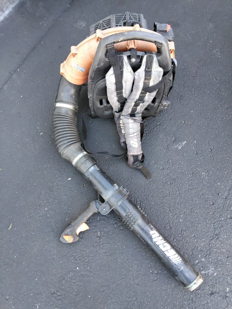 Echo Blower