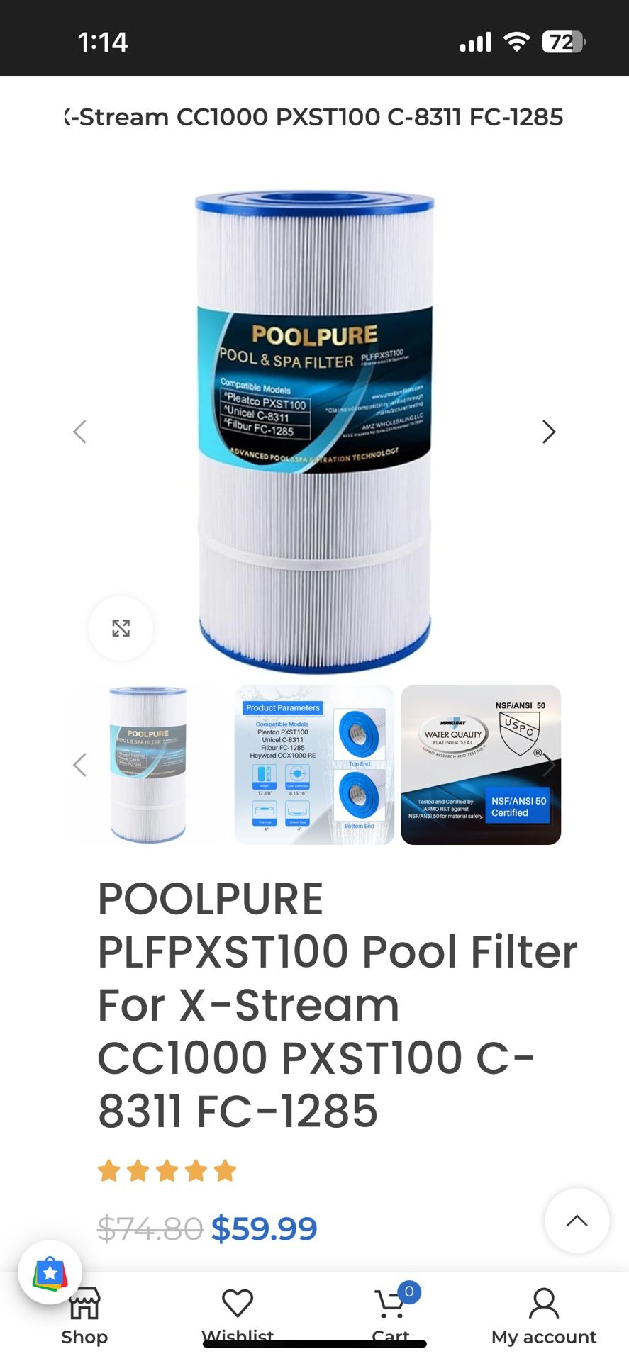 Pool And Spa Filter