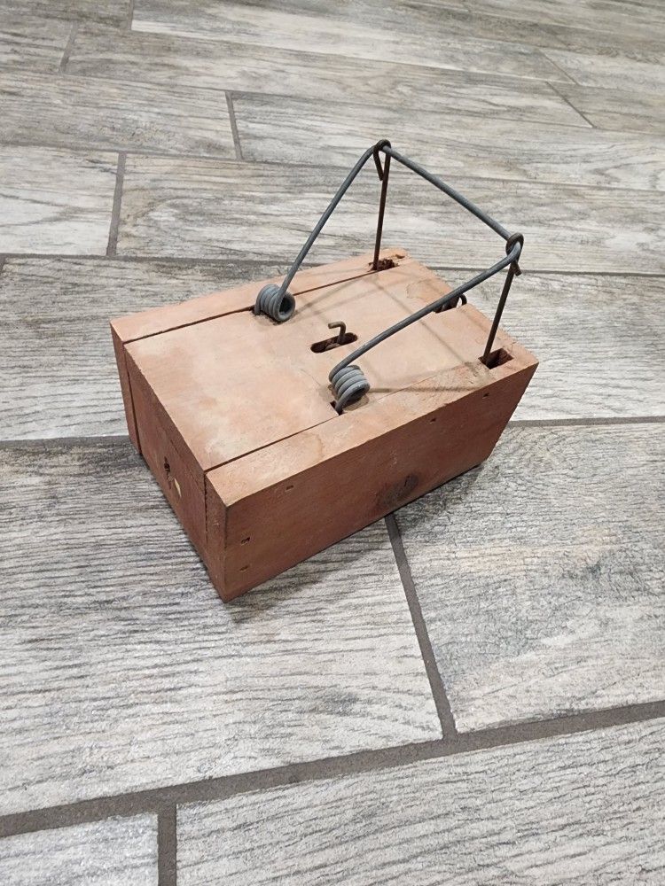 Wood gopher trap