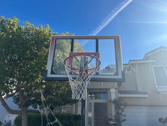 Lifetime Portable Basketball Hoop