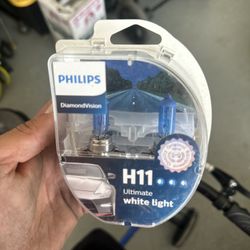 H11 Headlights
