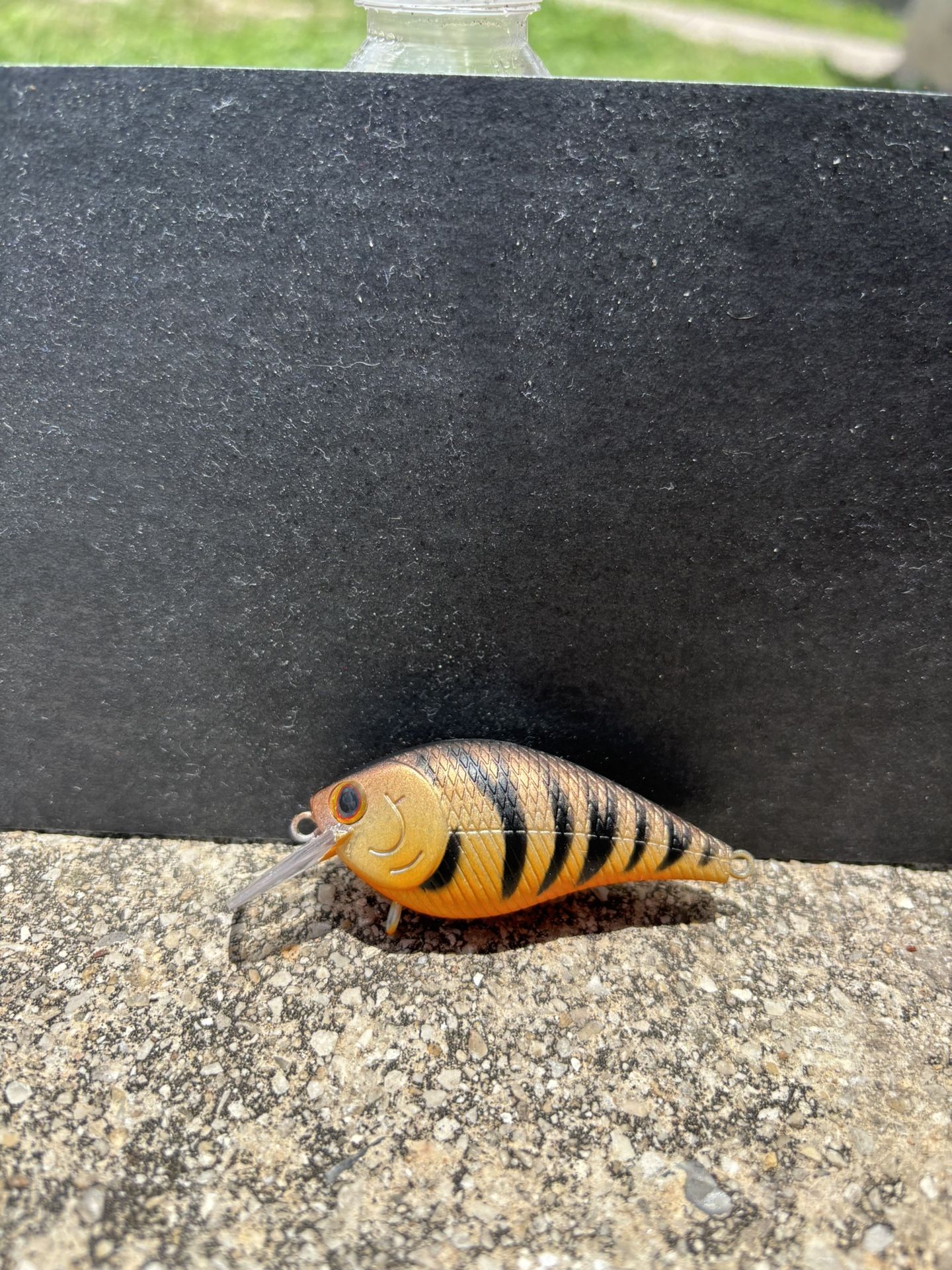 Custom Airbrush Fishing Lure Crank Bait