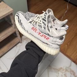 Yeezy Zebra 350
