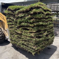 Fresh Sod Pallets Available 
