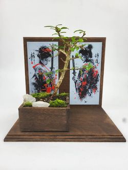 Fukien Tea Bonsai with Samurai Art Backdrop & Wood Stand – Handmade