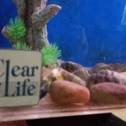 40 & 120 G Acrylic Aquariums, Filters & Accessories 