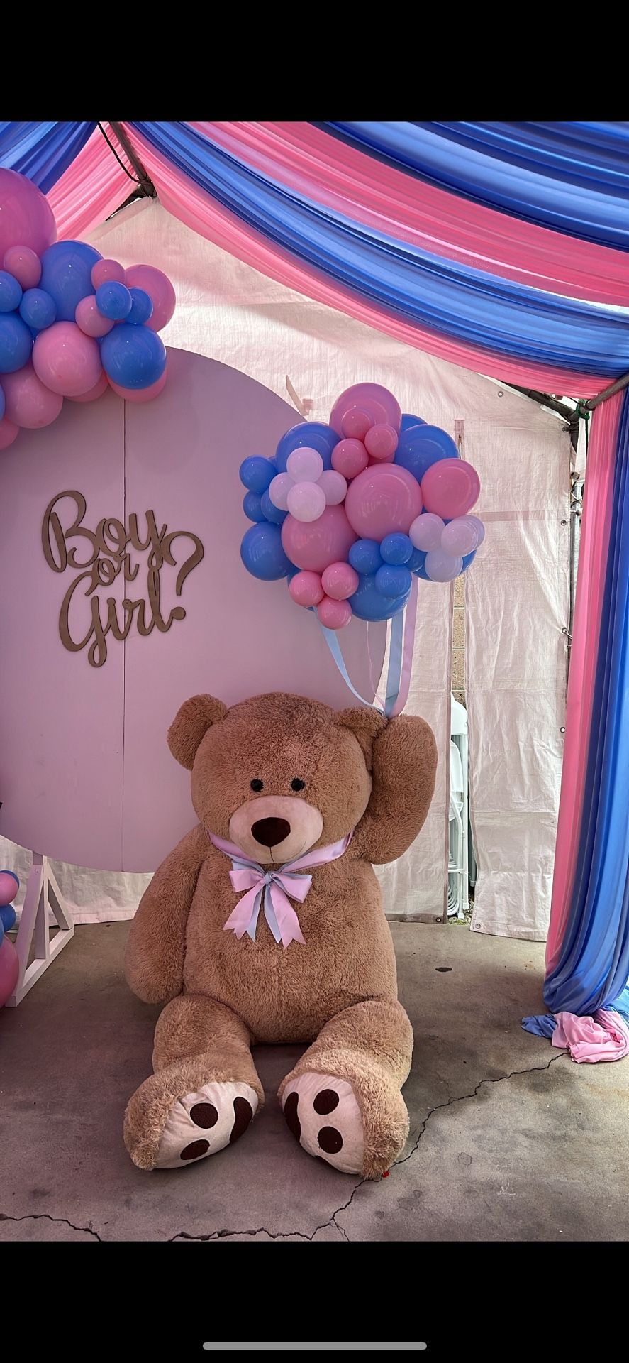 BIG TEDDY BEAR 🧸 5ft