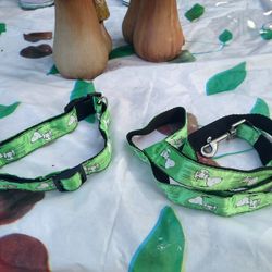 PEANUTS  Dog Collar And Leash - Snoopy