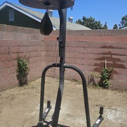 Everlast 2 Station Dual Heavy Duty Powder Coated Steel Heavy and Speed Bag Stand W/ Heavy Bag. 