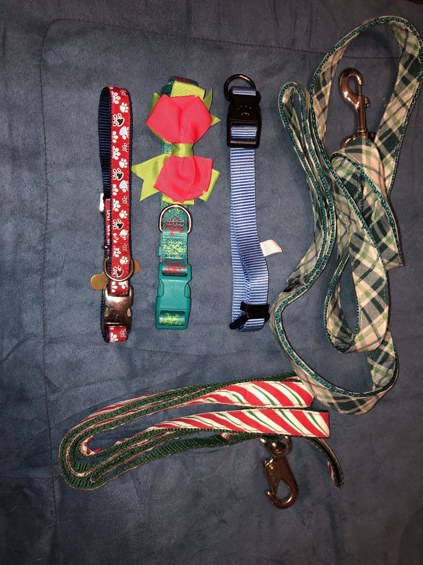 Dog collars and leashes