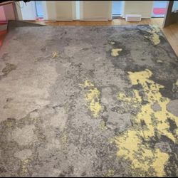 10x14 Area Rug - Safavieh Adirondack