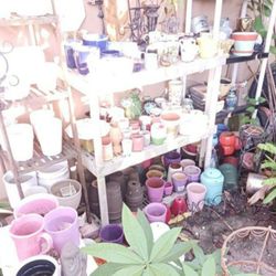 Houseplant Pots Ceramic Blowout Sale