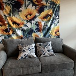 $600 Gray Couch (Queen sized pull-out)