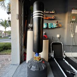 Punching Bag