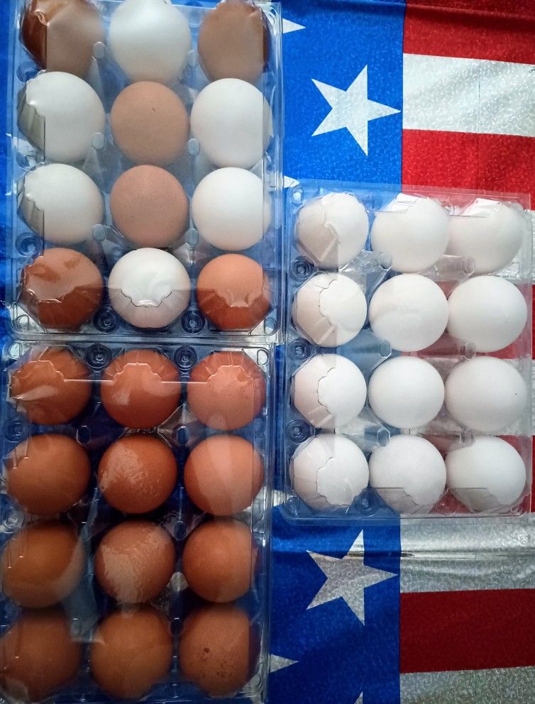 organic huevos
