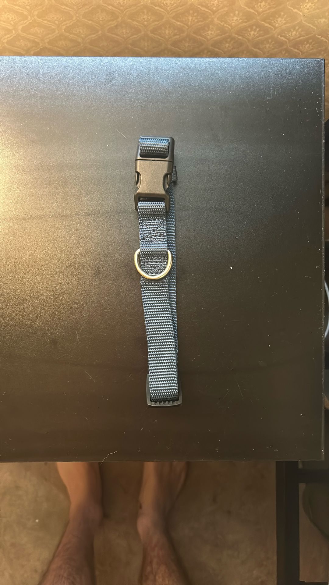 Puppy Collar