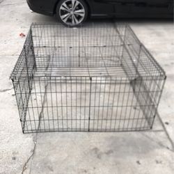 Dog Kennel