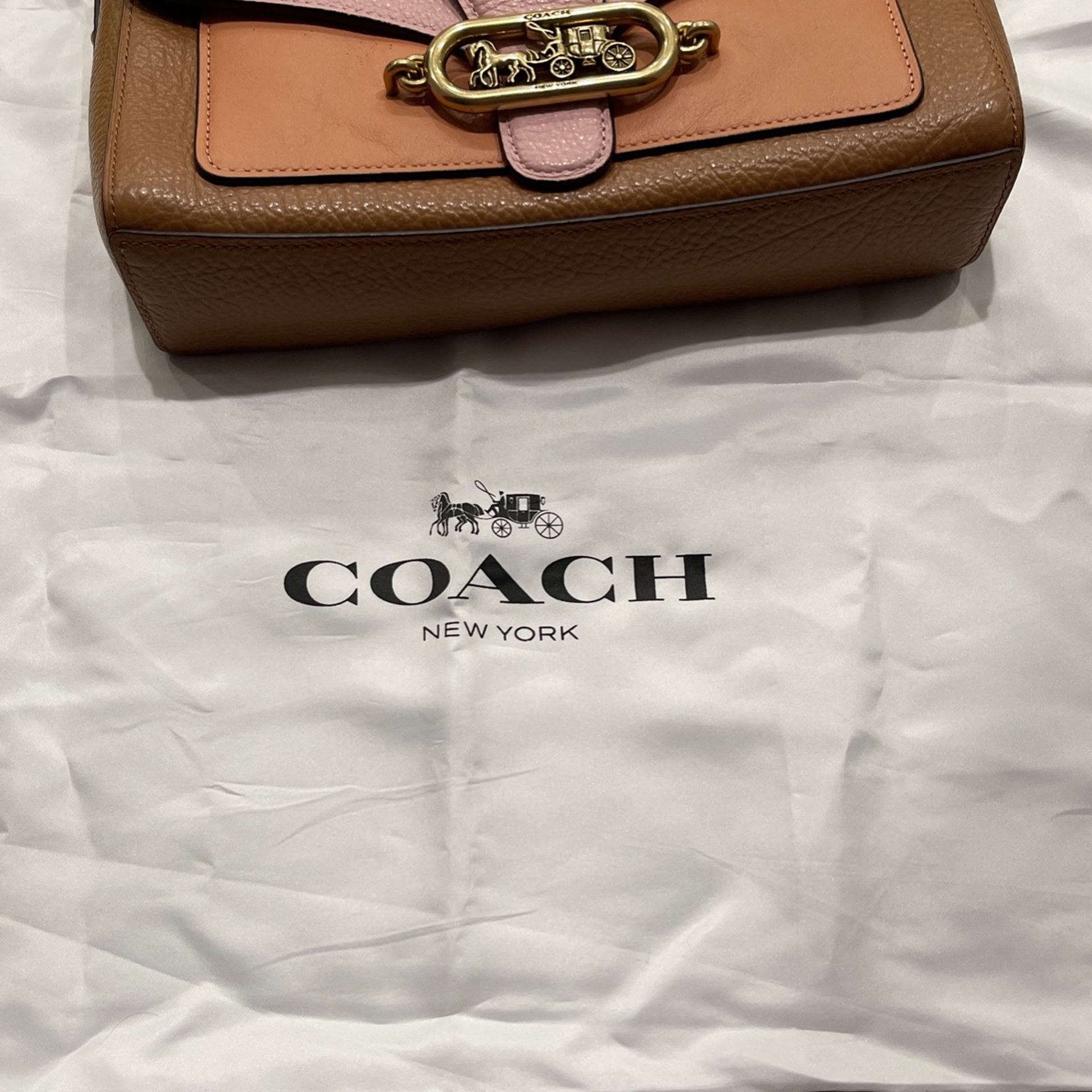 Coach protective bag sale