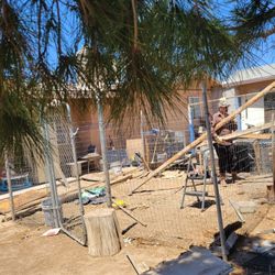 Fence With Door 12×12