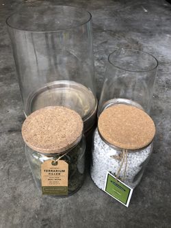 2 Glass Vase Terrarium Set