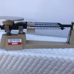 Triple Beam Scale