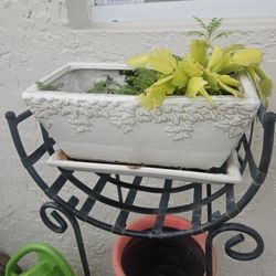 ASSORTED PLANTS POTS $2 TO $20