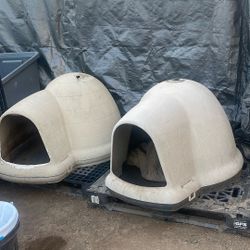 Dog House/ igloo