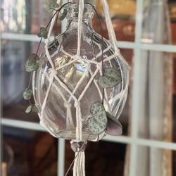 Macrame hanging plant With String Of Hearts Plant