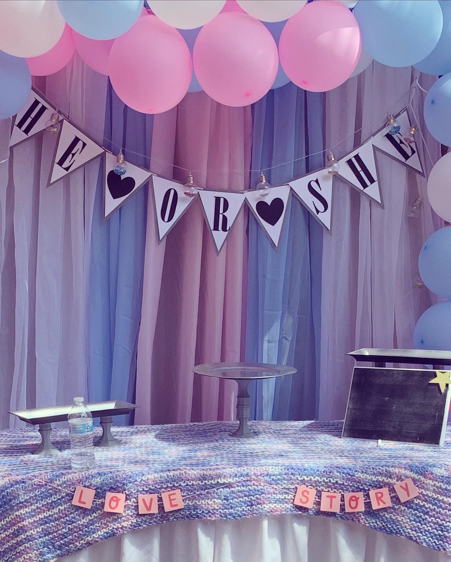 Gender Reveal Party Decor!