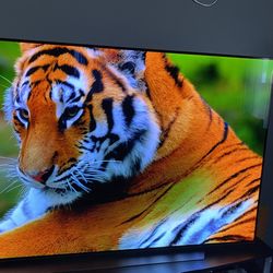 LG OLED65C9PUA 65-inch 4K OLED Smart TV Damaged