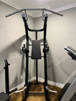 Inspire knee raise tower