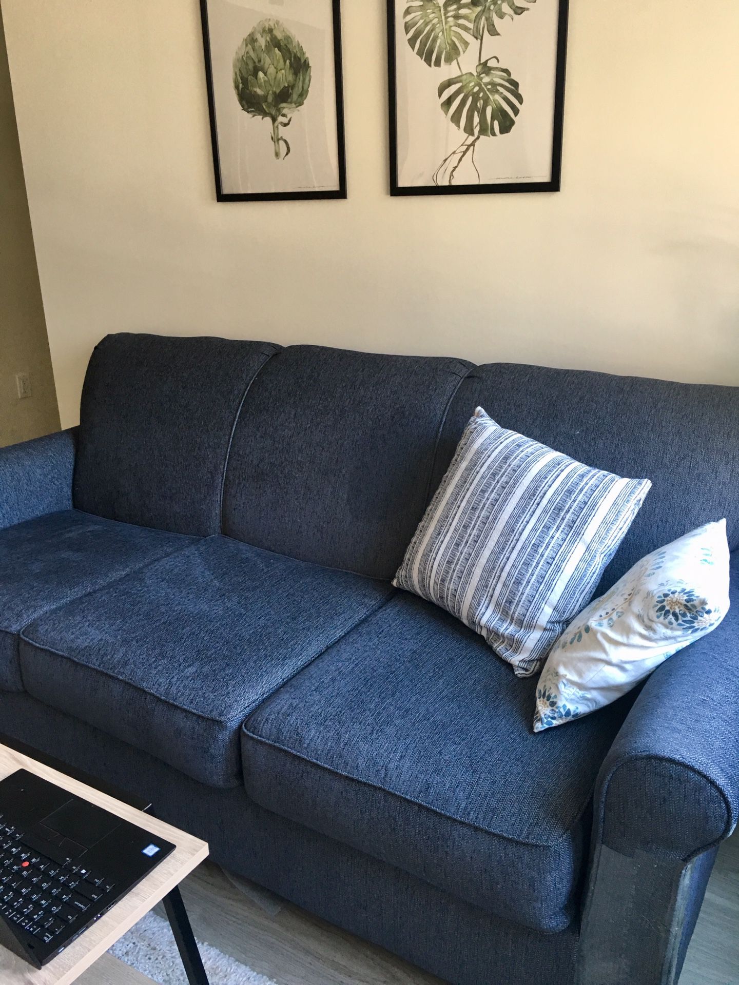Blue Sleeper Sofa